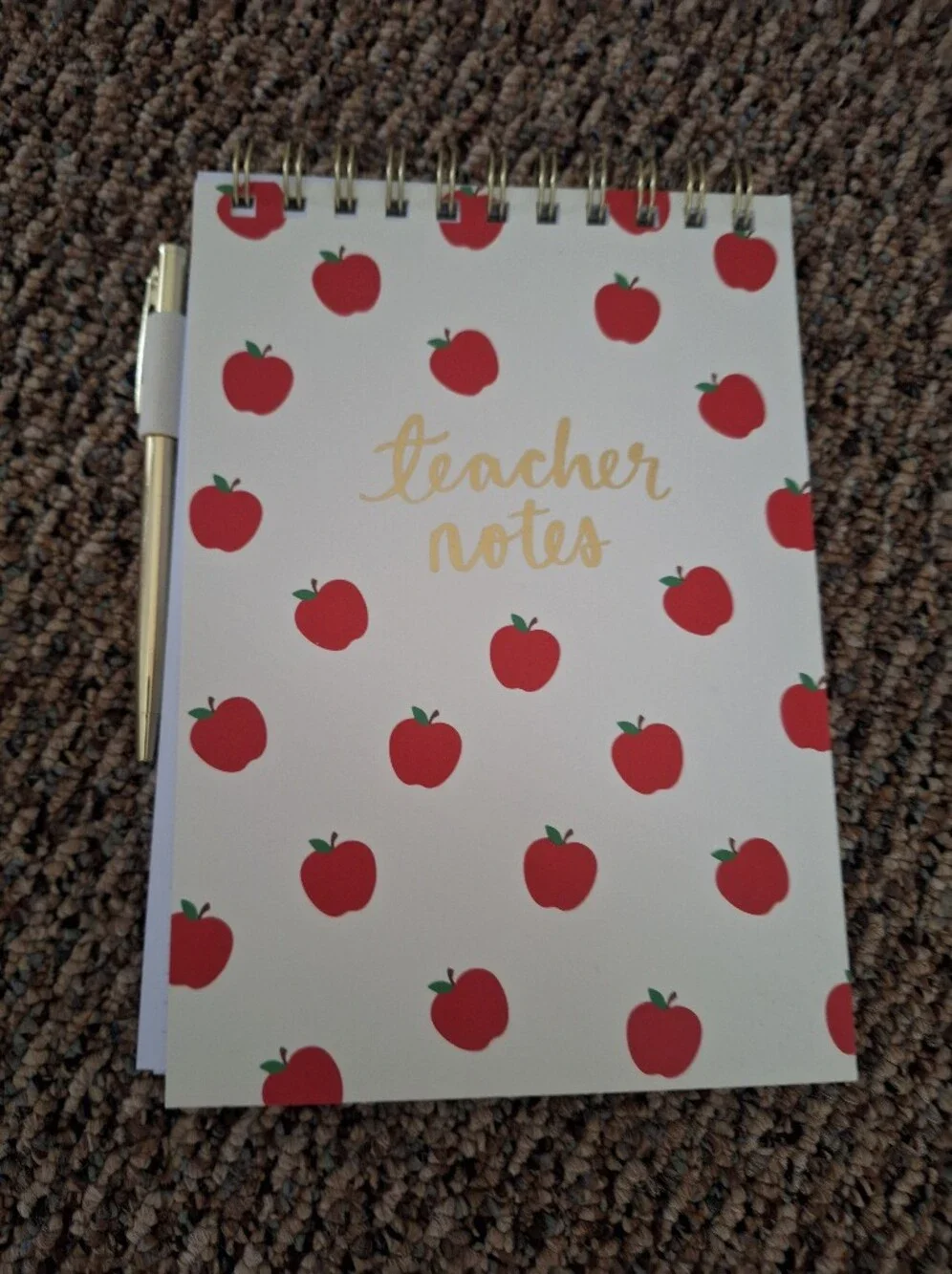 Teacher Notes Notebook with Red Apple Pattern